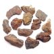 サハラNWA869隕石（コンドライト） 原石（ミニ）