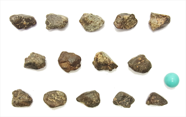 画像: サハラ隕石（コンドライト）　原石（小）