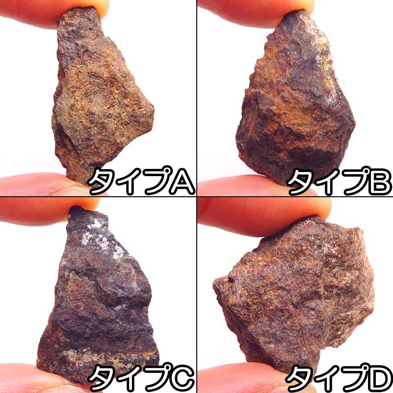 画像: サハラNWA869隕石（コンドライト） 原石（大）
