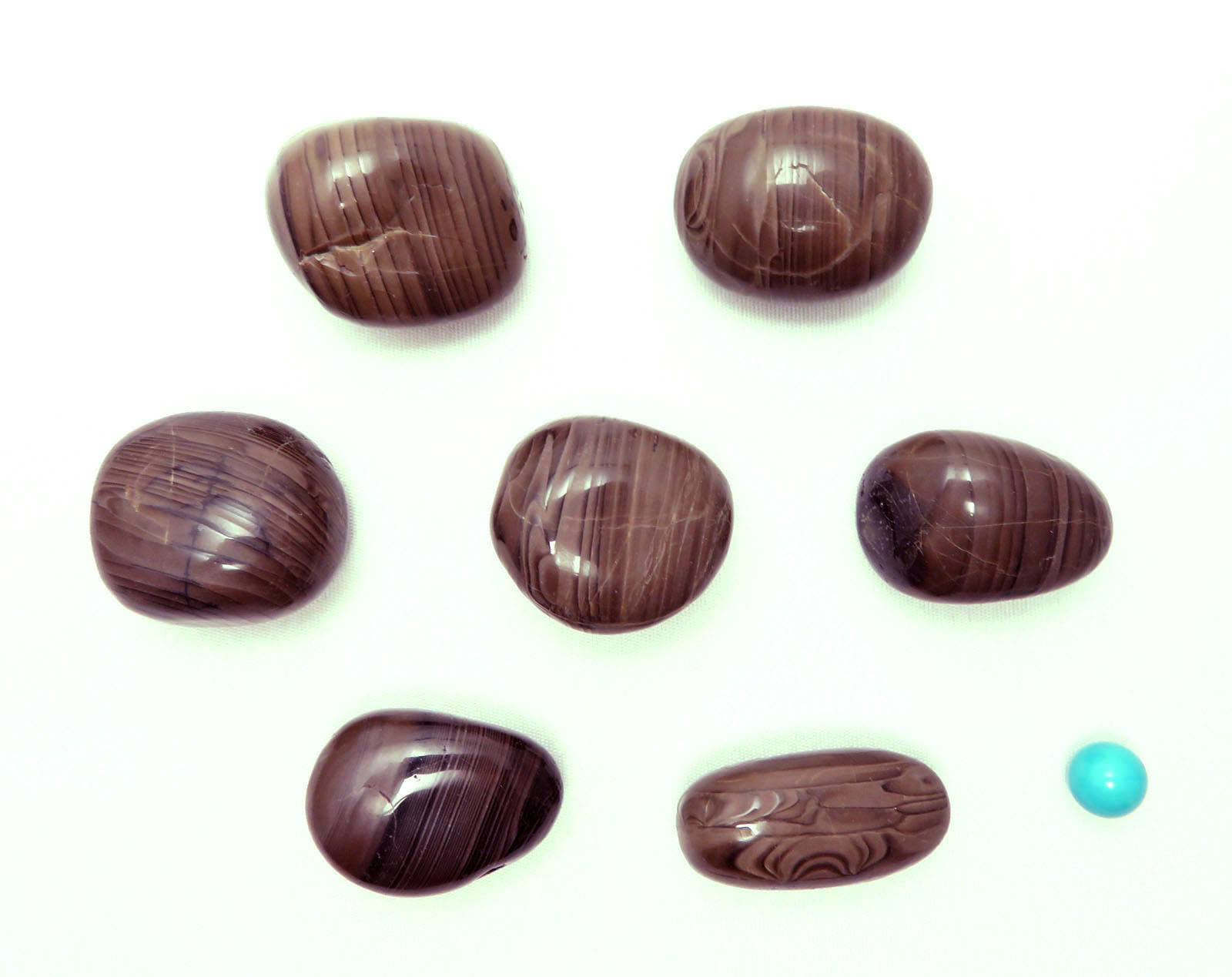 画像: ブラウン フリントストーン　タンブル